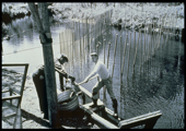 Fish Passage, Old Electric Sea Lamprey Barrier
